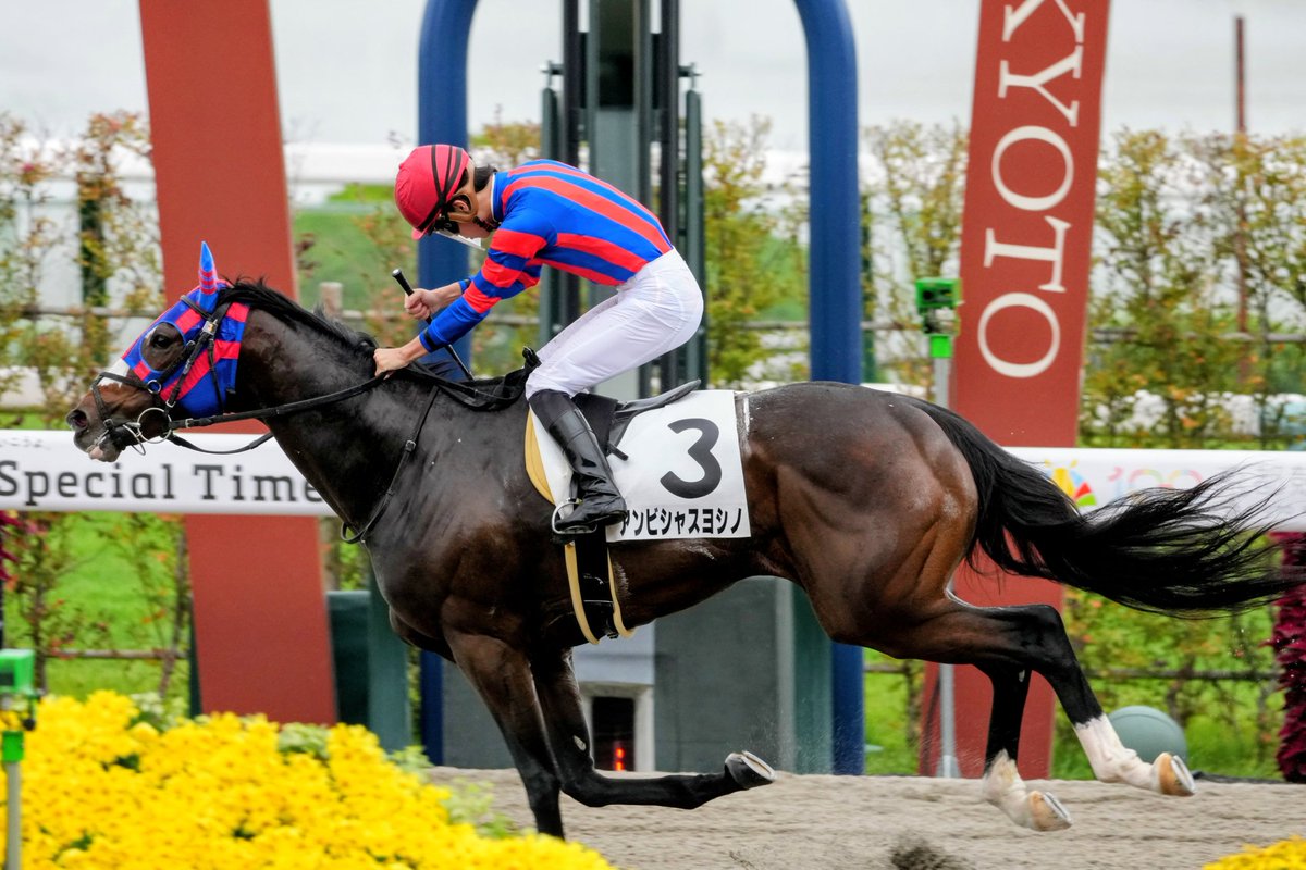 大根の神 封神・伝説 指定 ｜ Z/X - Zillions of enemy X - ゼクス公式サイト