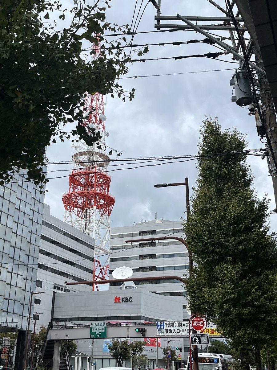 砂糖様 楽天市場】クルルマーク 伊藤忠 上白糖 1kg 袋 砂糖 調味料 食品