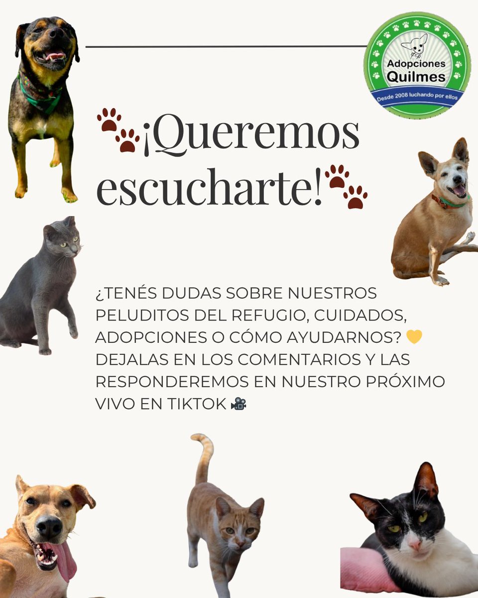 AdopcionesQ's tweet image. #adopcionesquilmes
#refugio