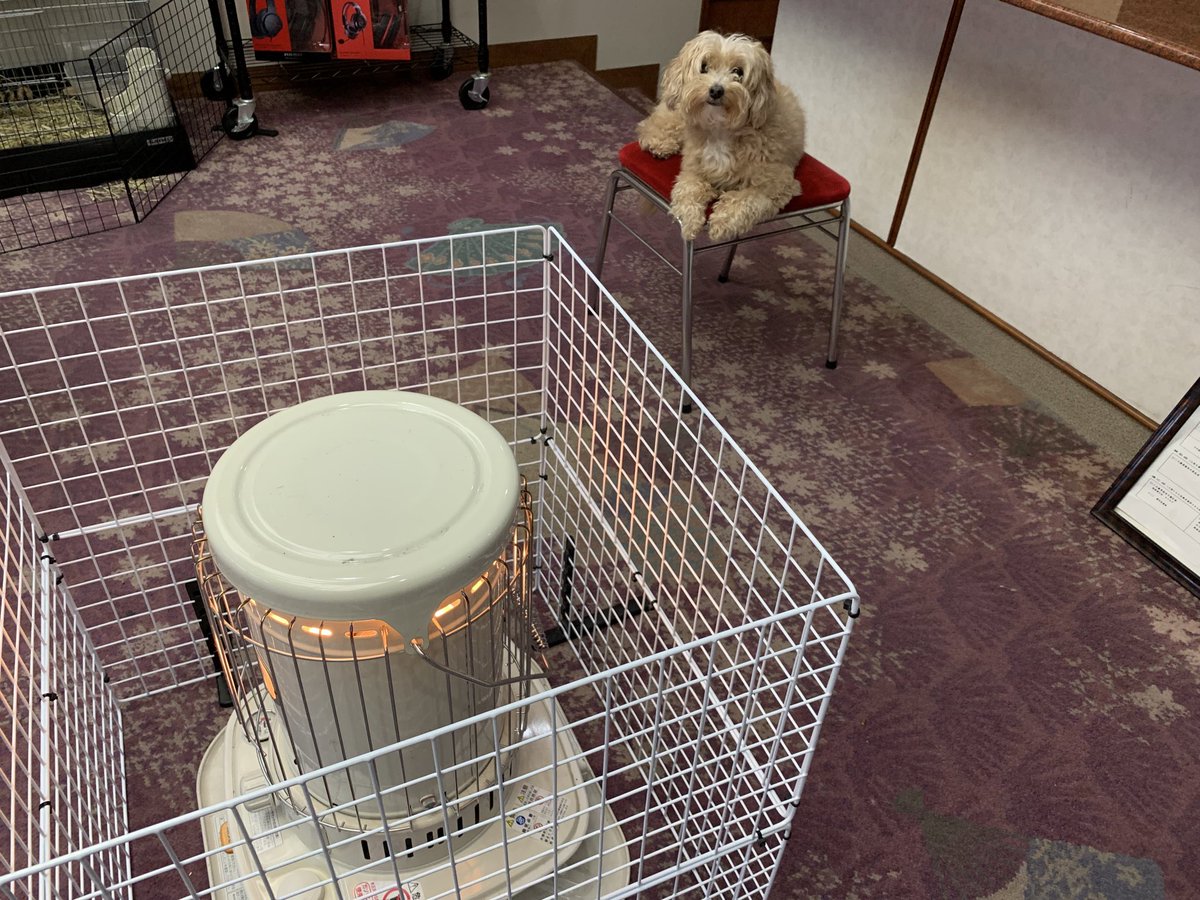 本日は通常通りオープンしております
寒くなってまりいましたのでストーブも設置しております🐕🔥

ゲーミングスペースの方にもストーブを設置しておりますので是非ご利用ください
#IBSG