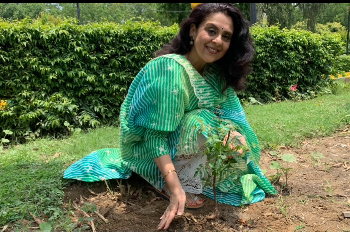 kavitaashok1969's tweet image. #Airpollution 
Delhi government is providing free plants in these nurseries ! 
Put them in your home and cleanse the air , a bit for your loved ones . #AQi