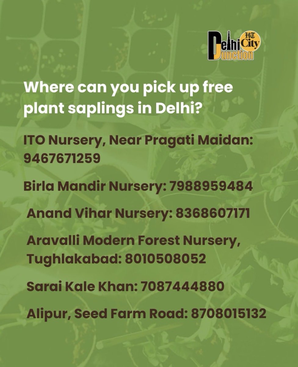 kavitaashok1969's tweet image. #Airpollution 
Delhi government is providing free plants in these nurseries ! 
Put them in your home and cleanse the air , a bit for your loved ones . #AQi