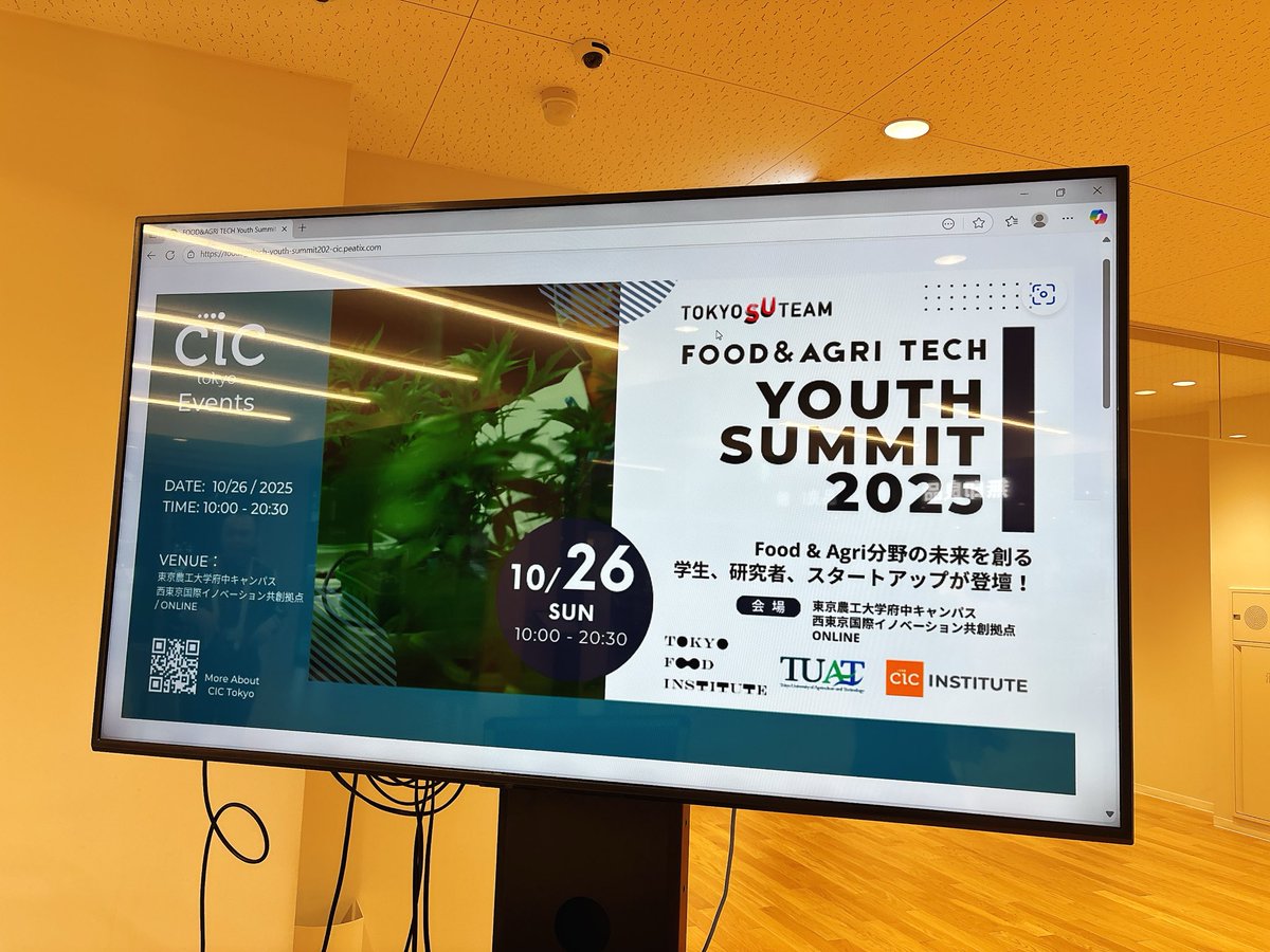 今日も今日とて。