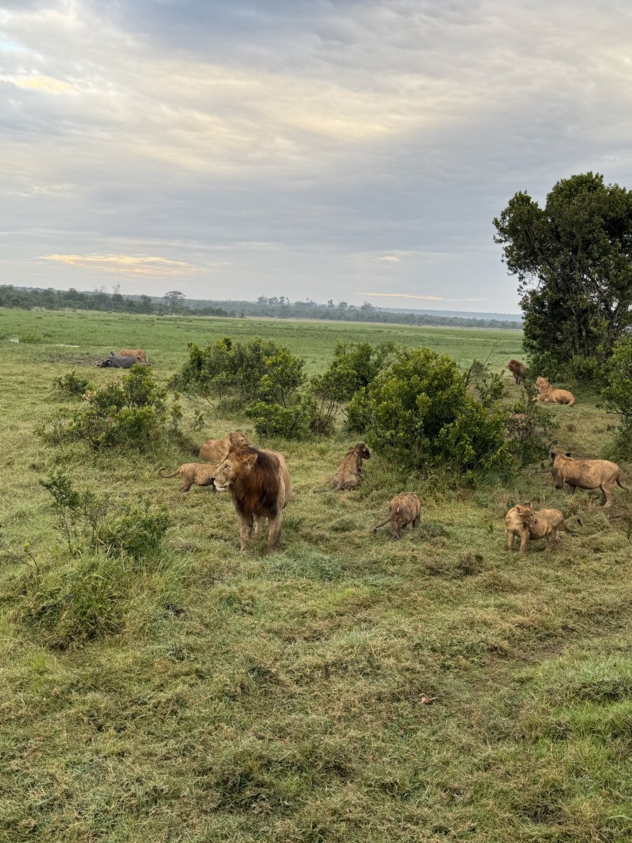 Manasi Kumar tweet media