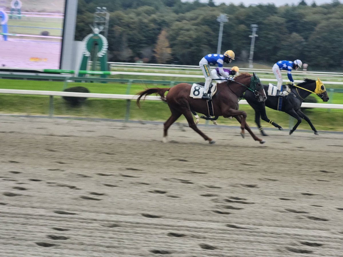 はるもり 109717 1/12完成品バイク KAWASAKI Ninja ZX-25R メタリック