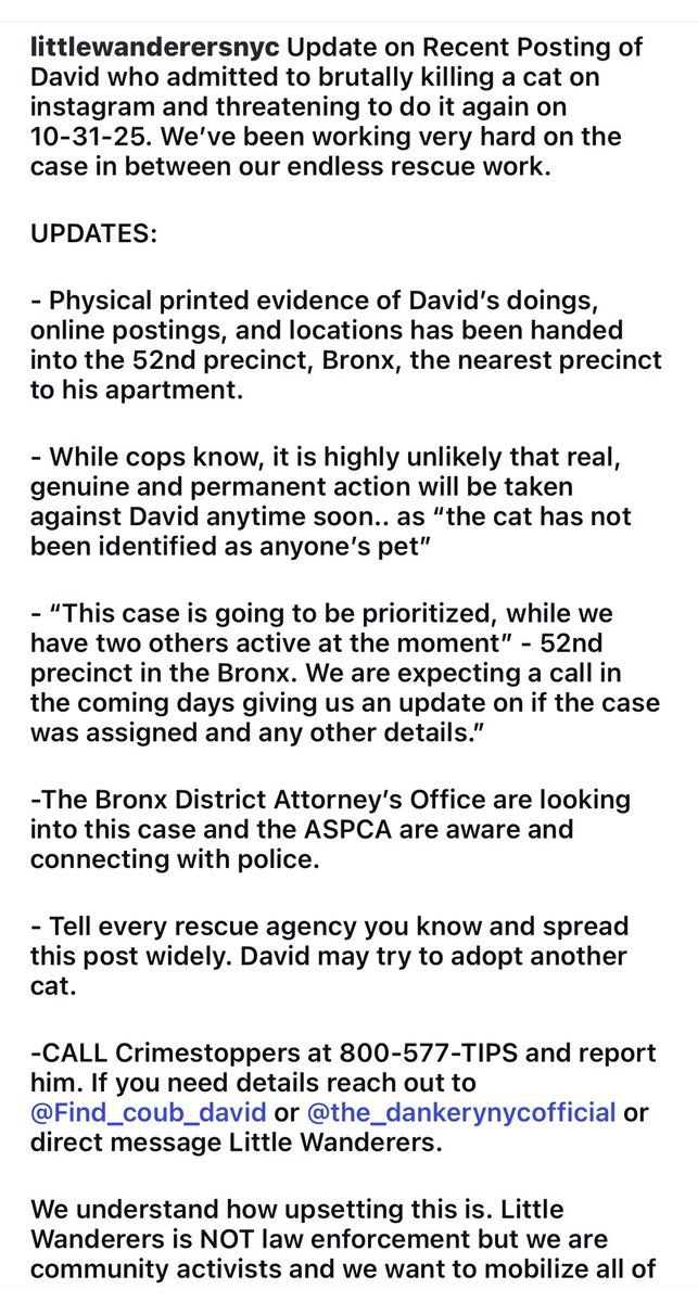 HE TRIED TO ADOPT ANOTHER INNOCENT CAT TO MURDER, BROOKLYN NY PETCO .. thank God they said No Way! WHY Can’t they arrest him on the videotaping he put on Instagram of him satanically murdering the cat a couple weeks ago? More details in photo re David the Serial cat murderer.