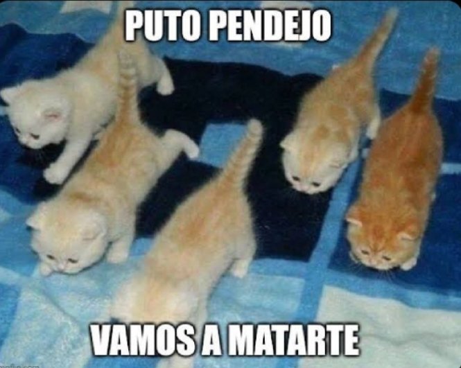 tetodeidad's tweet photo. @UnLeon9_Rp @alexco07_ https://t.co/EdtqYOeOJE