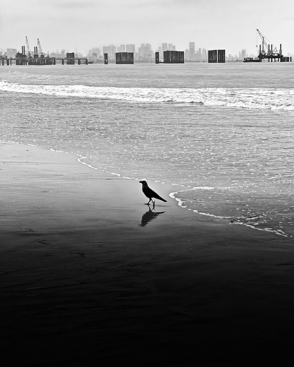 Less colours more mood 

<a href="/realmeIndia/">realme</a>
#realmexRICOHGR #realmeGT8Pro #SnapbyNoRules #realmexRICOHGR