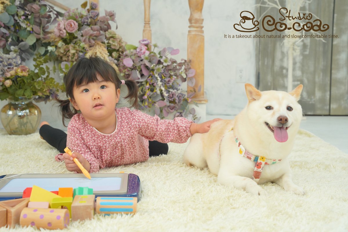 Cocoa様オーダーページ スタジオCocoa 新川崎店 on X