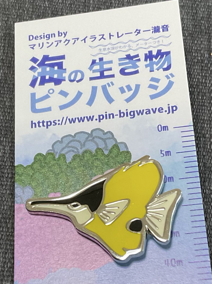 min_2463's tweet image. かわいいのぅ