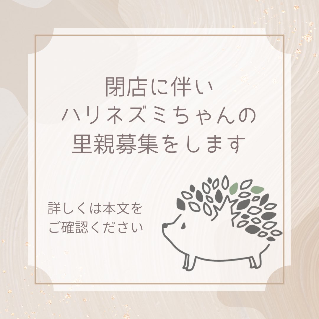 sumoa_fukuoka tweet media