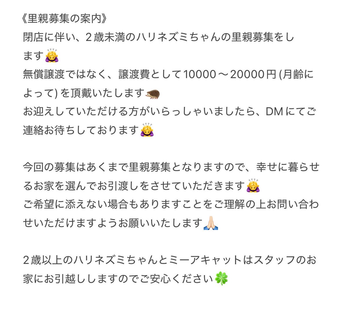 sumoa_fukuoka tweet media