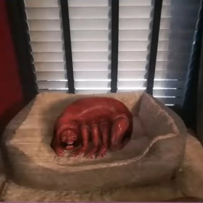 Idothingsyeah's tweet photo. #NewProfilePic https://t.co/AyObdrGIss
