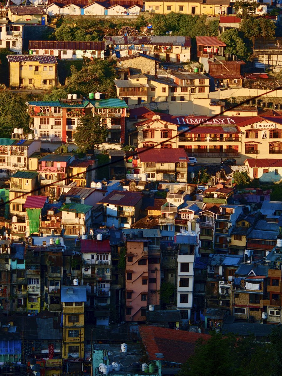 The Colour That speaks louder 🌸

@realmeindia
#realmexRICOHGR #realmeGT8Pro #SnapbyNoRules #realmexRICOHGR