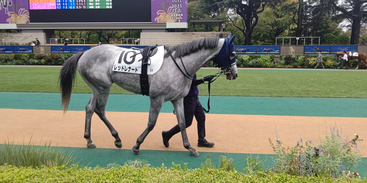 ryo (@ryo08180923) / Posts / X