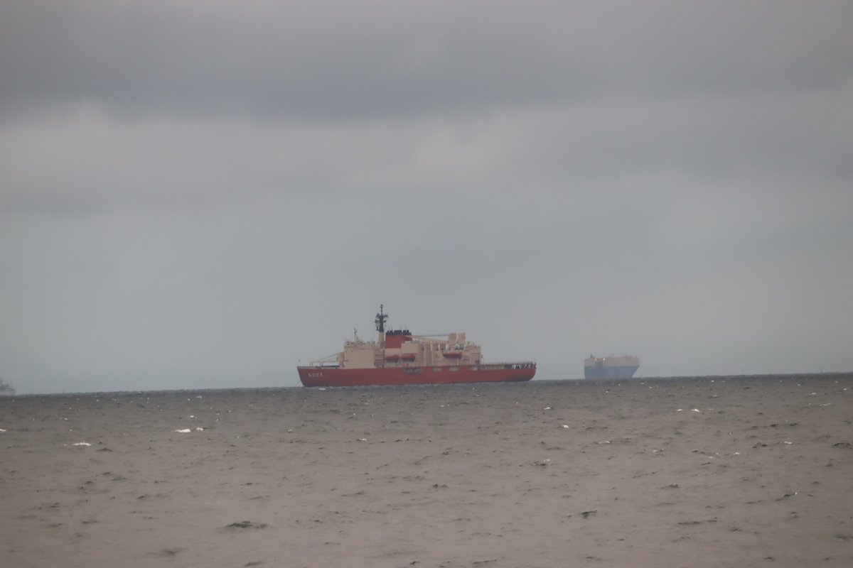 A-TRR.Line_3955 on X