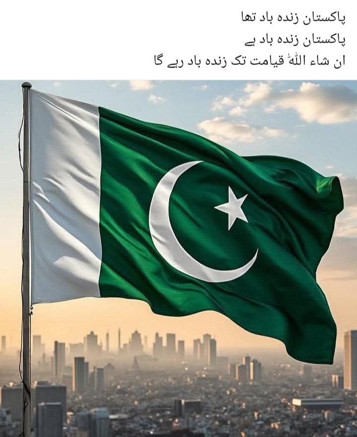 Muhammad Safeer Chohan PMLN tweet media