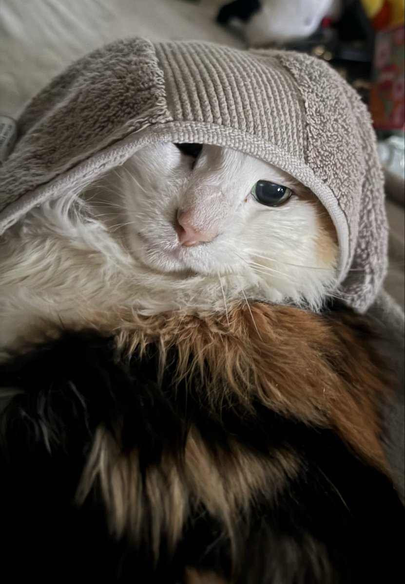 Jewell032010's tweet photo. Just love this girl. Always trying to hide under the towel. https://t.co/6Xe1b5wmgJ