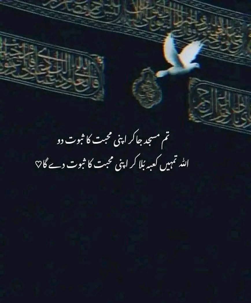 Mr. Azan Sajjad (@mrazansajjad) on Twitter photo 