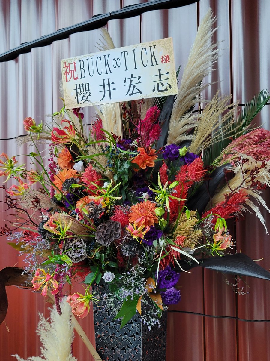 ◆チャピ◆① ちゃっぴー ちゃっぴー ちゃっぴ (@microchappy00) / X