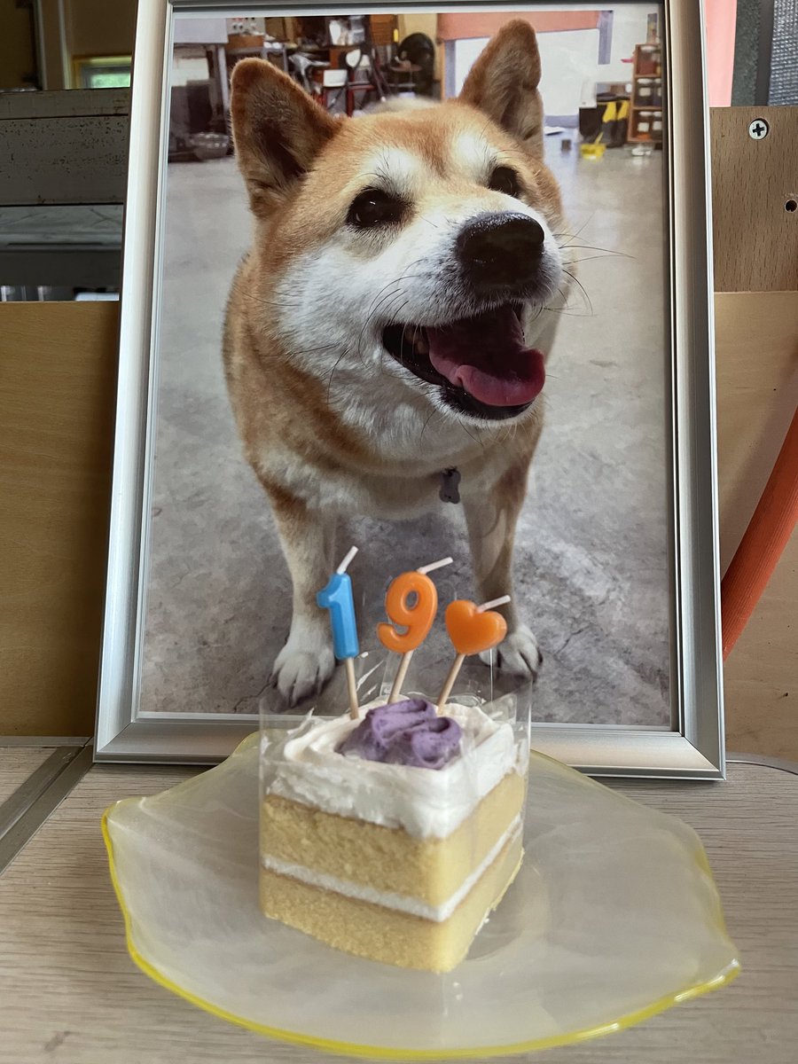 10/26はムーコの誕生日！
天国に行ったけど歳をとり続けるシステムゆえの19歳！おめでとう🥰