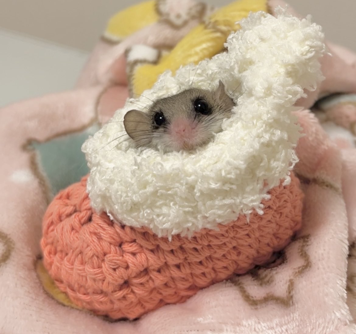 スーちゃんとねずみさん スーちゃんとねずみさん 子どもの本-商品詳細｜新日本出版社