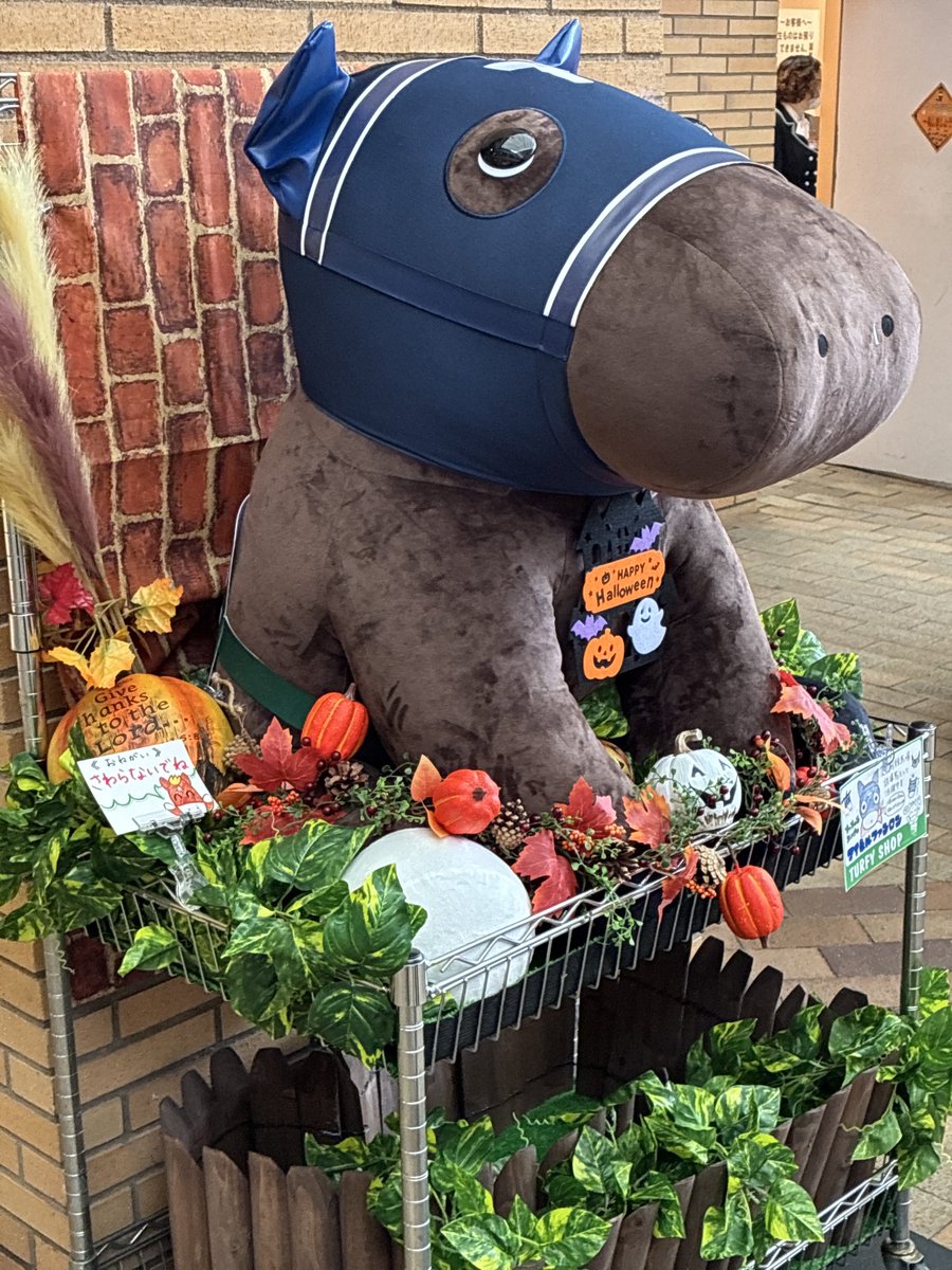 まめ子 (@dragon5893kt) / Posts / X