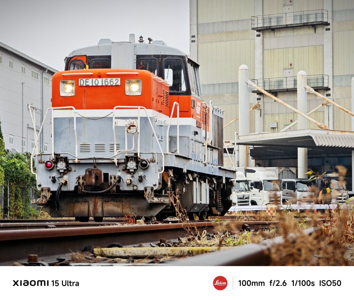 たまごん たまごん (@onsen_tamagon) / Posts / X