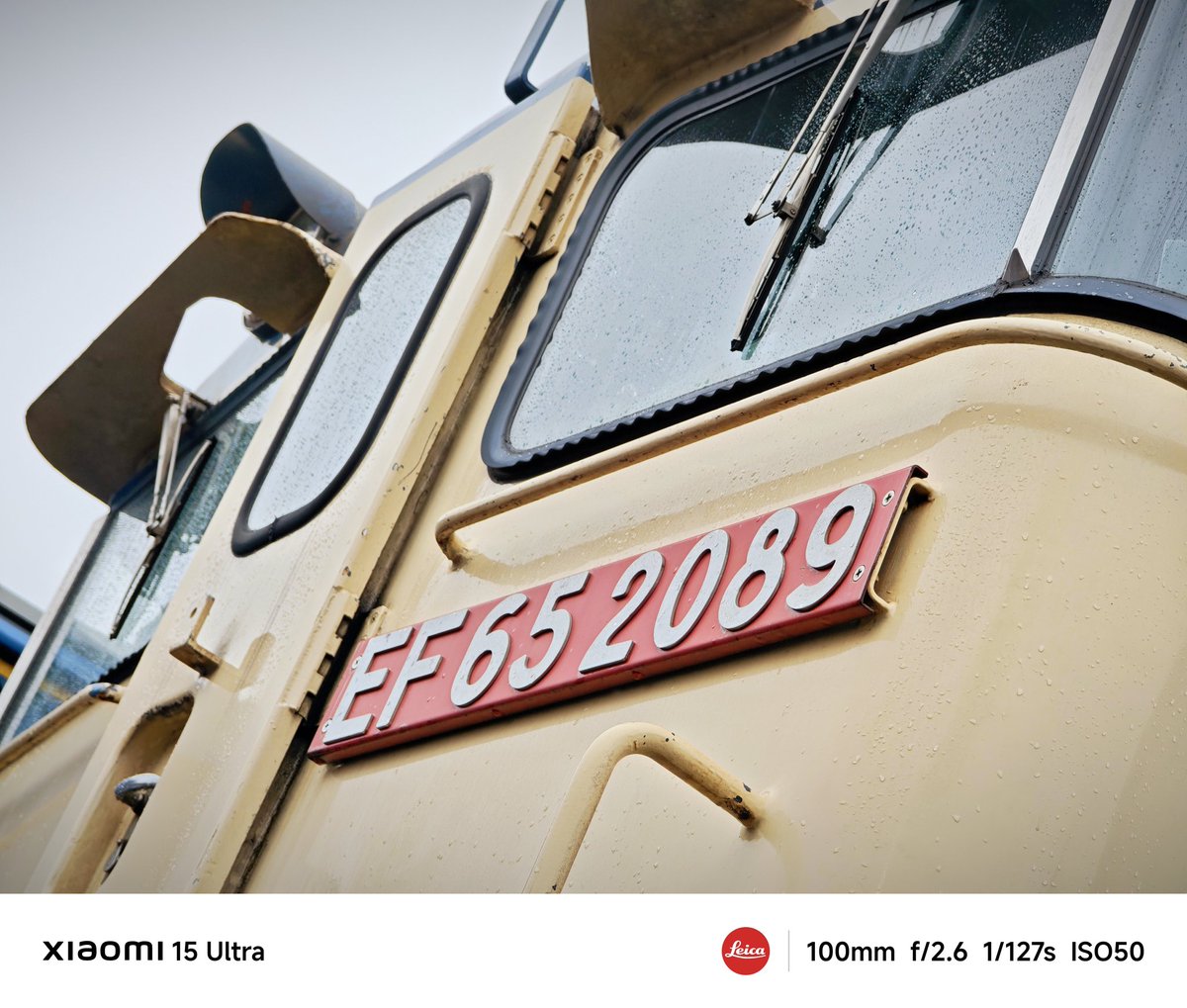 たまごん (@onsen_tamagon) / Posts / X