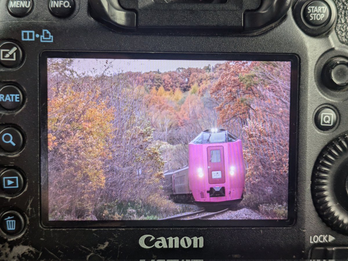 🦌スーパーエゾシカ🦌 on X