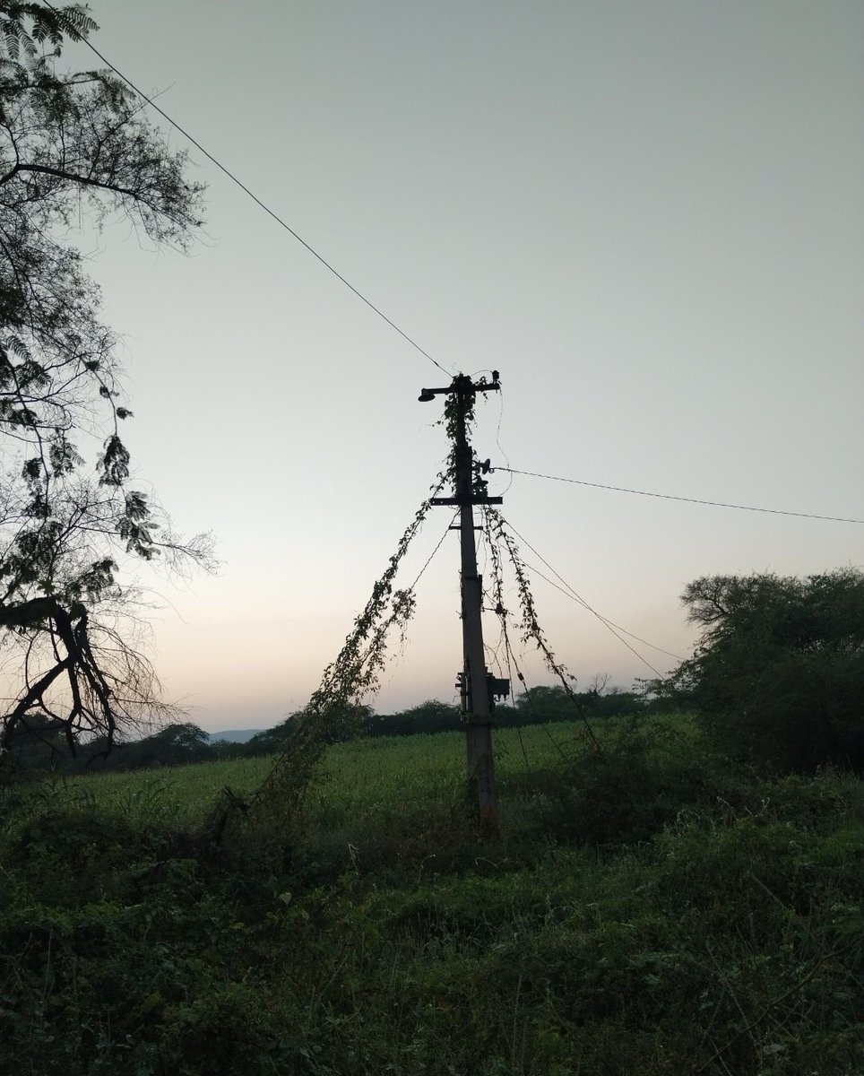 ग्राम सेतीवास ग्राम पंचायत खरेड़ा तहसील टोड़ा रायसिंह जिला- टोंक मे तालाब किनारे लगे ट्रांसफार्मर मे 3,4 मवेशी भी मर चुके है
खेत मे फसल को काटते समय और फसल में पानी देते समय करंट आ चूका है

कोई दिन बड़ा हादसा हो सकता है विभाग इस ट्रांसफार्मर को कोई दूसरी सार्वजनिक जगह.. 1/2