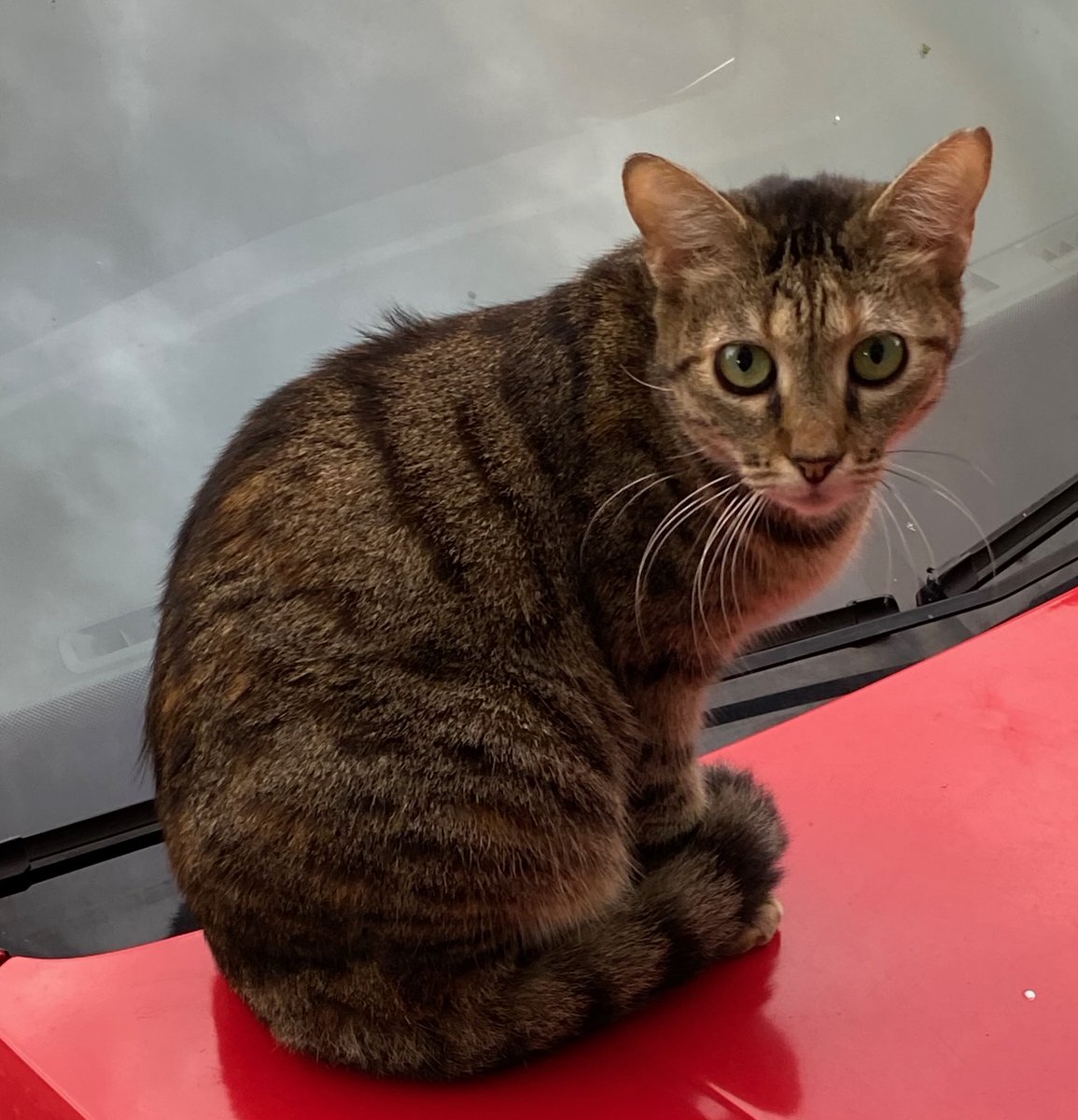 2 Kasım Pazar güzeli