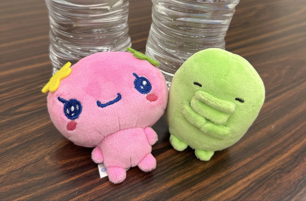 kurusurindesu's tweet photo. ちゅけ家のふらわっちとうちの子、ご挨拶しました🙂‍↕️ https://t.co/hGh721UBvO