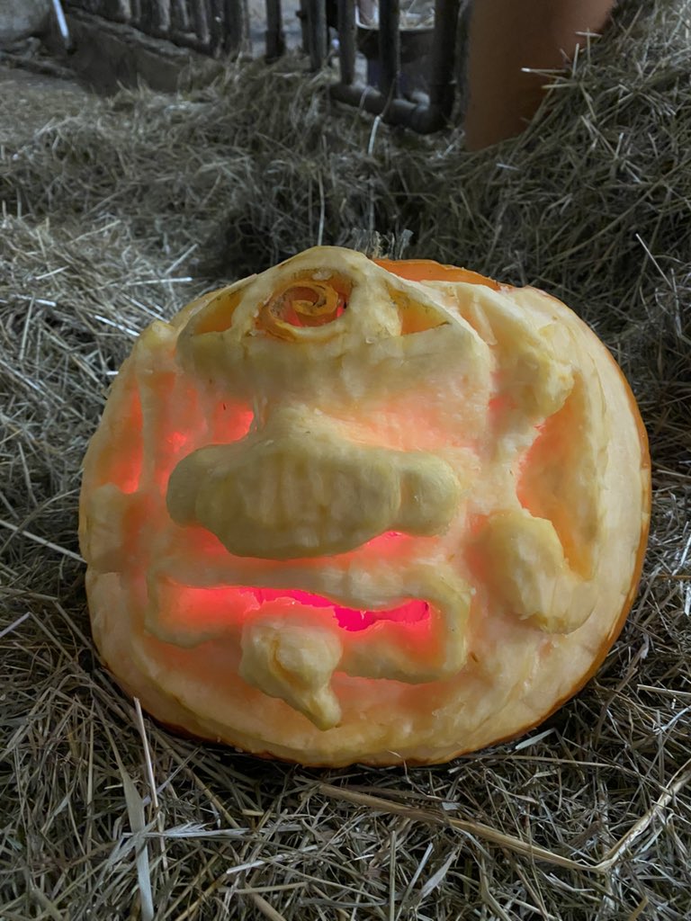 Payne_T_'s tweet photo. Pumpkin carving with a friend https://t.co/15uLyVHh0S
