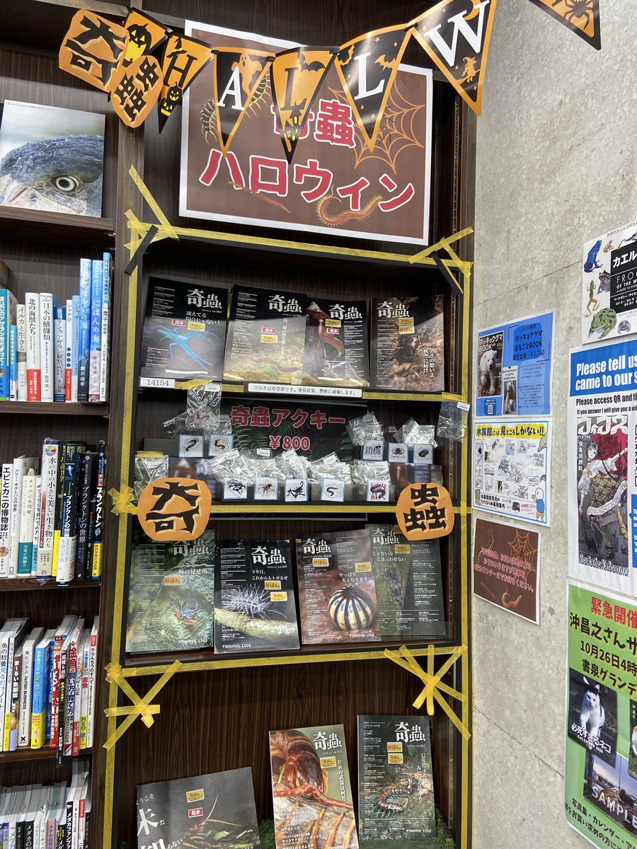 うおおおおおお〜〜〜！！！！！
スゲ───────！！

書泉グランデさん本気で季刊奇蟲を推してくださってる！！

生き物の本を買うなら神保町の4Fオススメ！