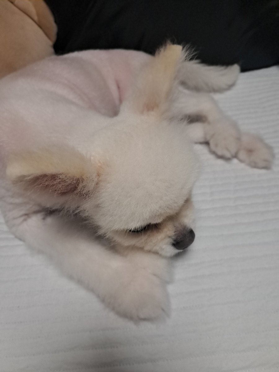 Jefferies 한국 프로젝트 운영 관련 공식 선언문.jex