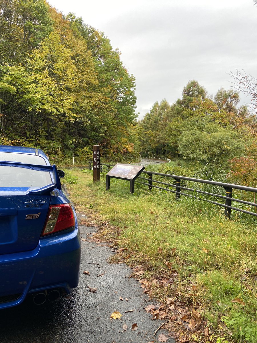 くったりサモエドくん JB DUNK MID PRO SB - スニーカーショップSKIT