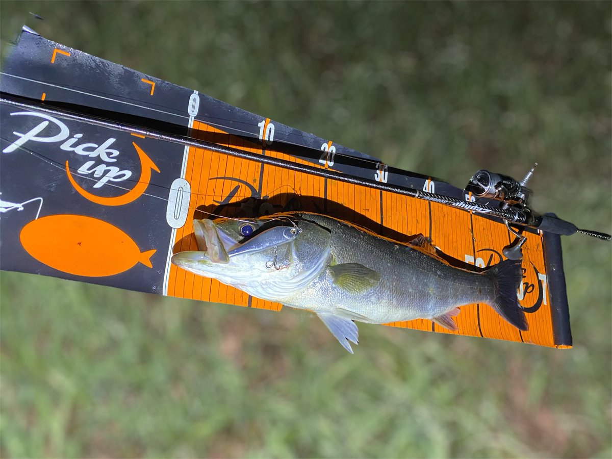 さくとぅー on X