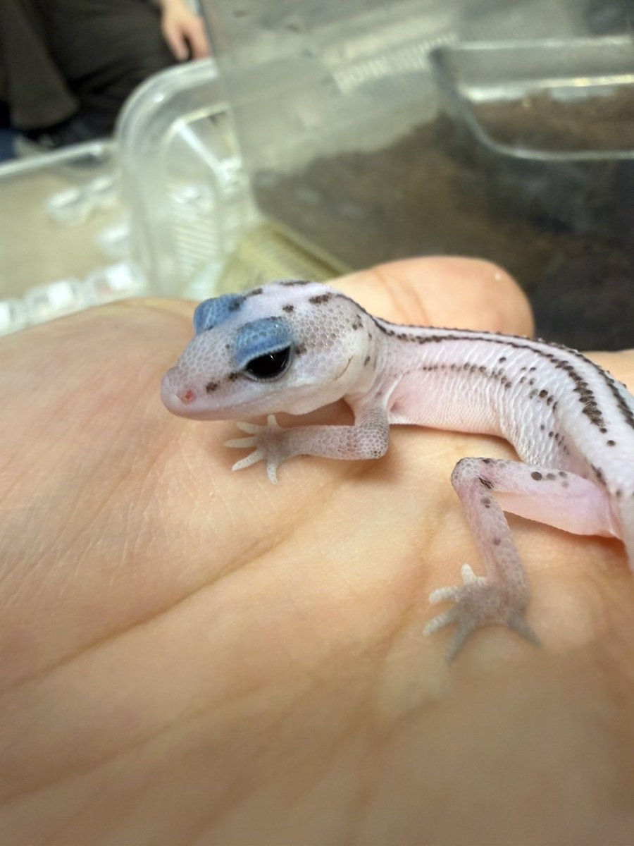 さむじょーたろー様オーダー・取置き専用ページ さむじょーたろー様オーダー・取置き専用ページ