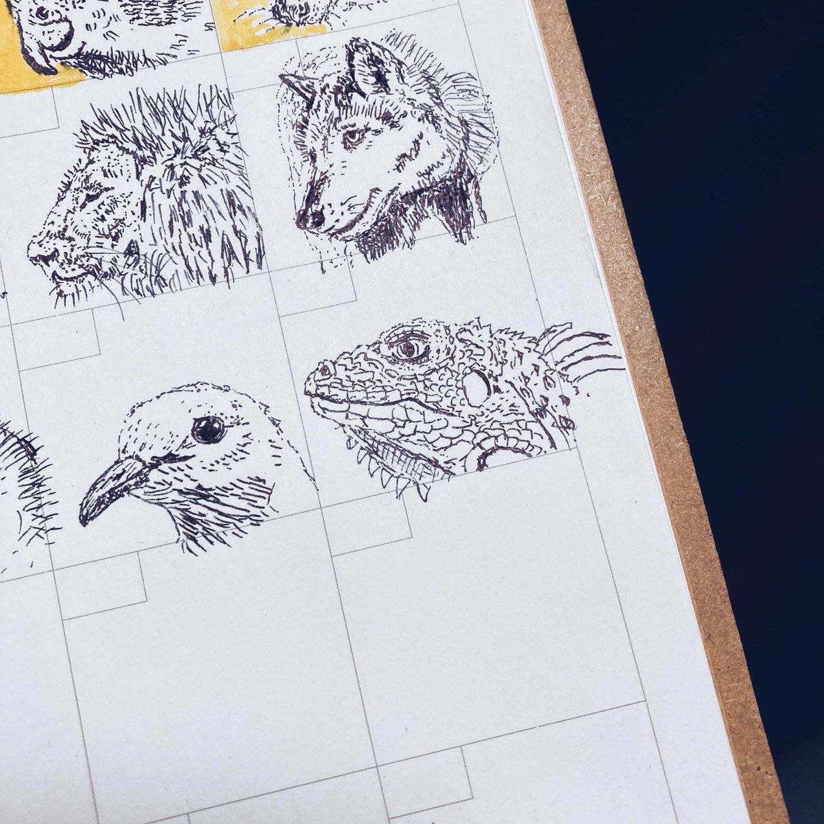 走っては止まり、走っては止まる...

じつはトカゲは「走りながら息ができない」んです。

走行と呼吸に同じ筋肉を使うため、物理的に無理なんだとか。

でもトカゲは諦めませんでした。息継ぎの間に、爆発的なスピードで走る戦略を選んだんです。