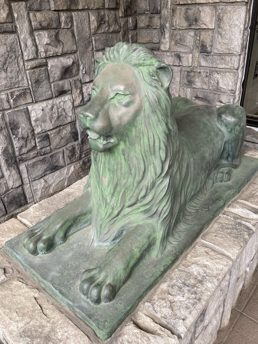 橋本 真弓🎏🐧♨️🔴 on X