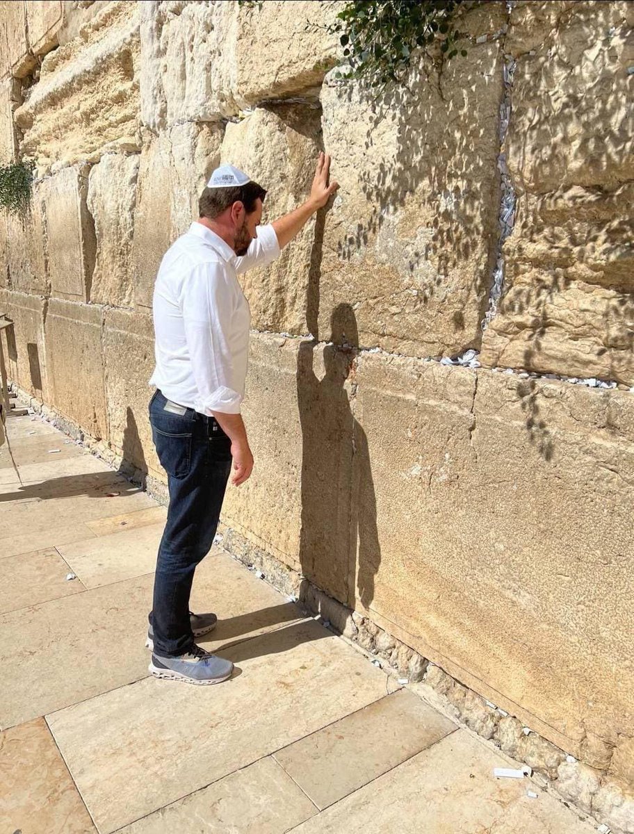 TradToad's tweet image. 