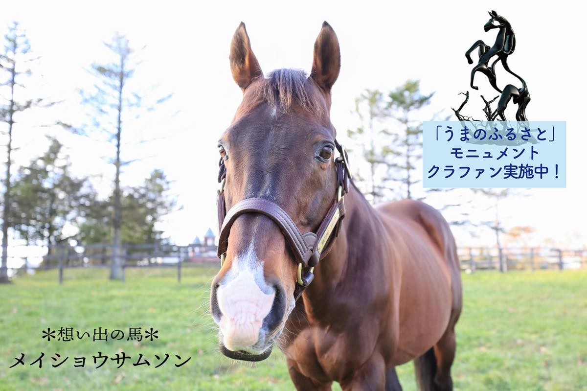 【#うまのふるさと 12/9までクラファン実施中】
あなたの想い出の馬は？ モニュメントに想い出を残す馬たち／#メイショウサムソン 2024.11.26永眠（21歳）。
congrant.com/project/rha/18…
#引退馬協会
#GIVINGforSDGs sponsored by #ソニー銀行