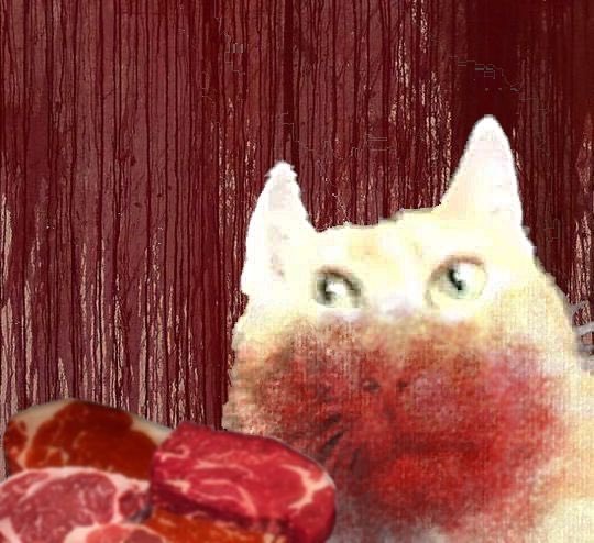 Watching my roblox goon doodle get to 30 likes while my beautiful cat Yuri gets 10