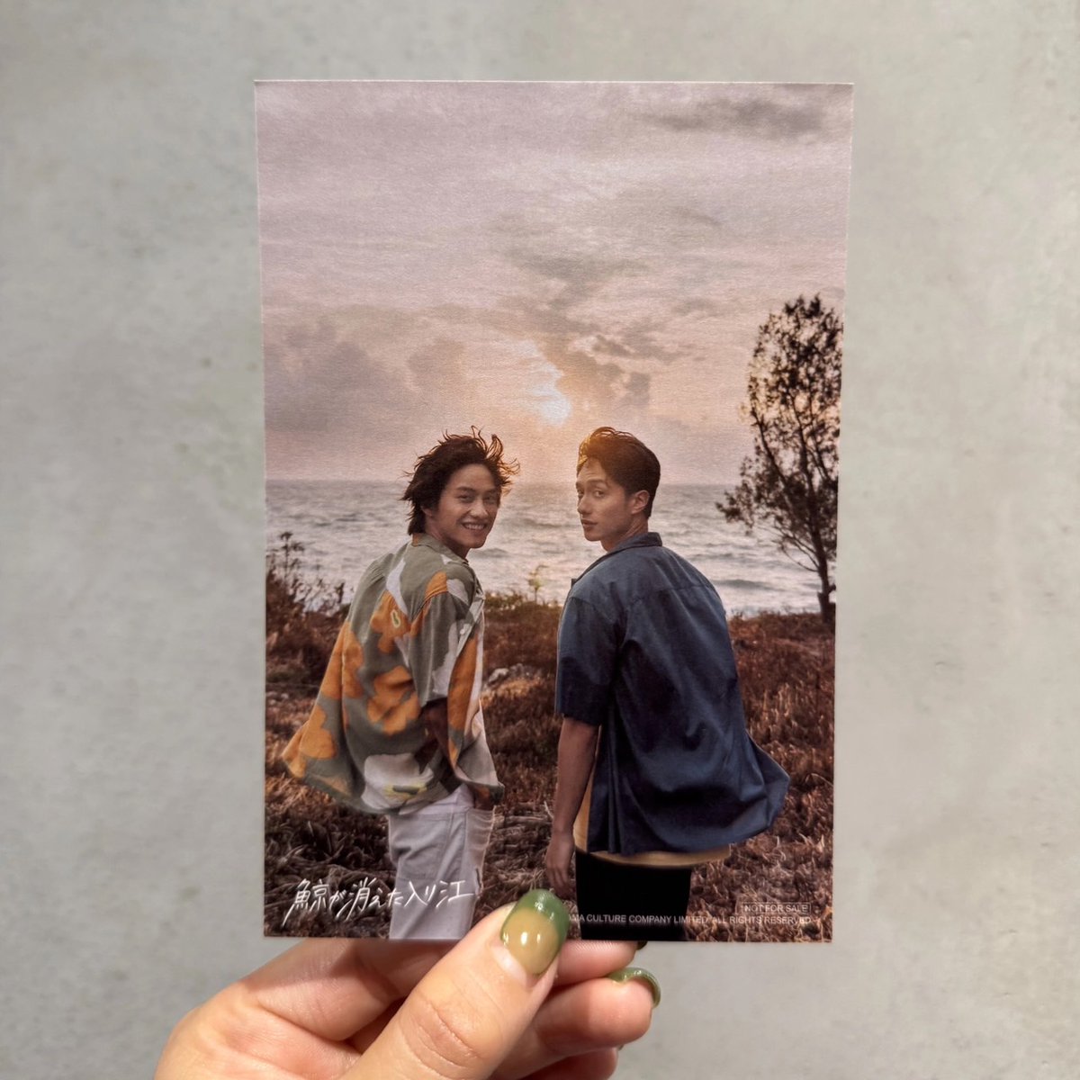 みっちゃん🥟🐼🍓 🐾 (@michellehappy8) / Posts / X