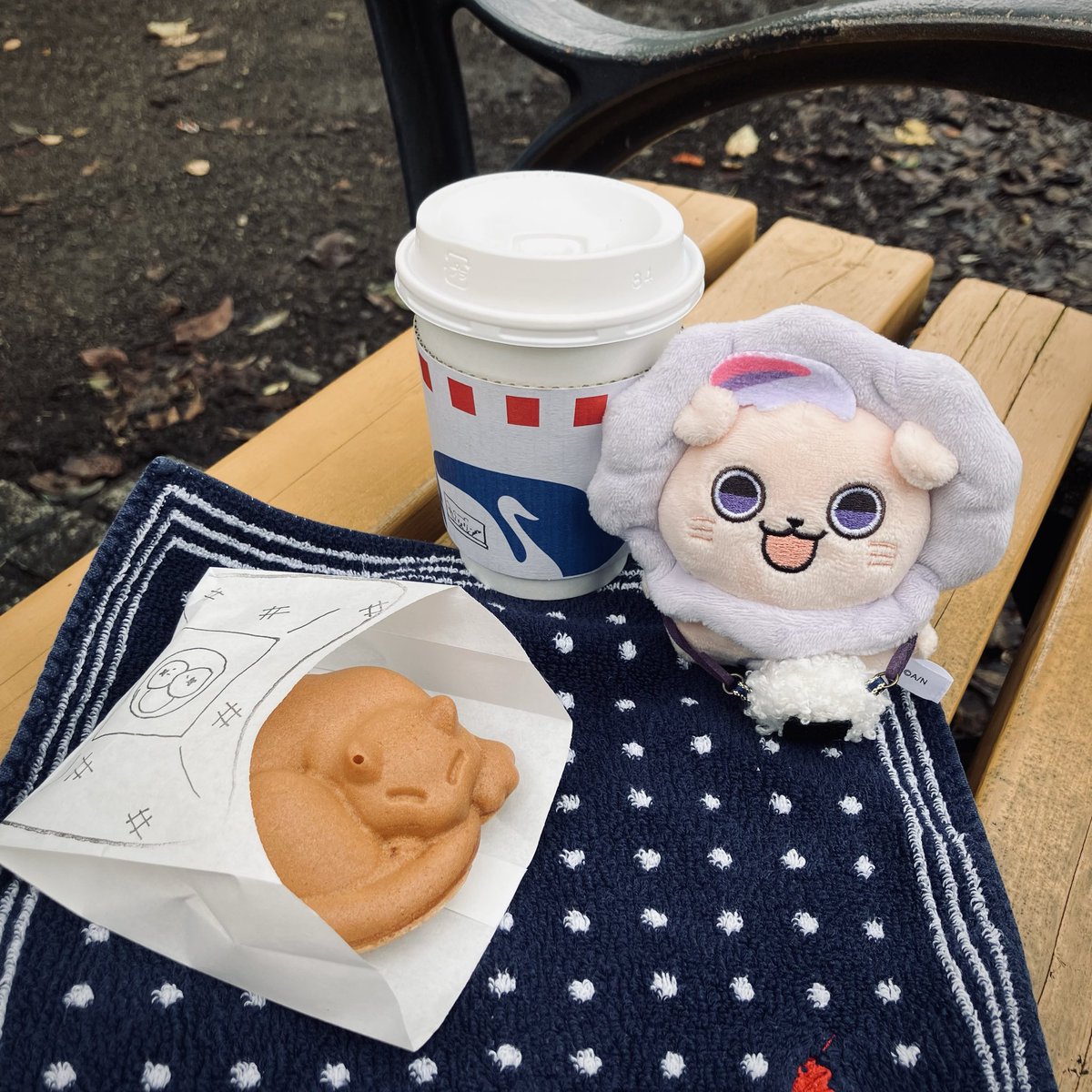 yokoyk_c's tweet image. ネコチャン🍩