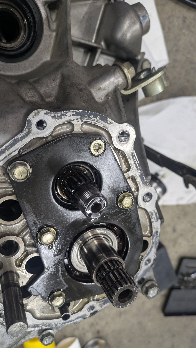 NFE★です Z-8 FEARLESS フィアレス TC-5 BLACK/GOLD マットカラー フル