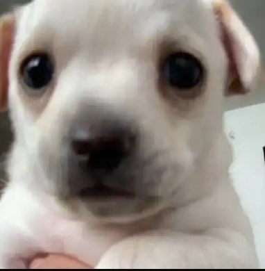 CharmingSpeed's tweet image. — Cómo.