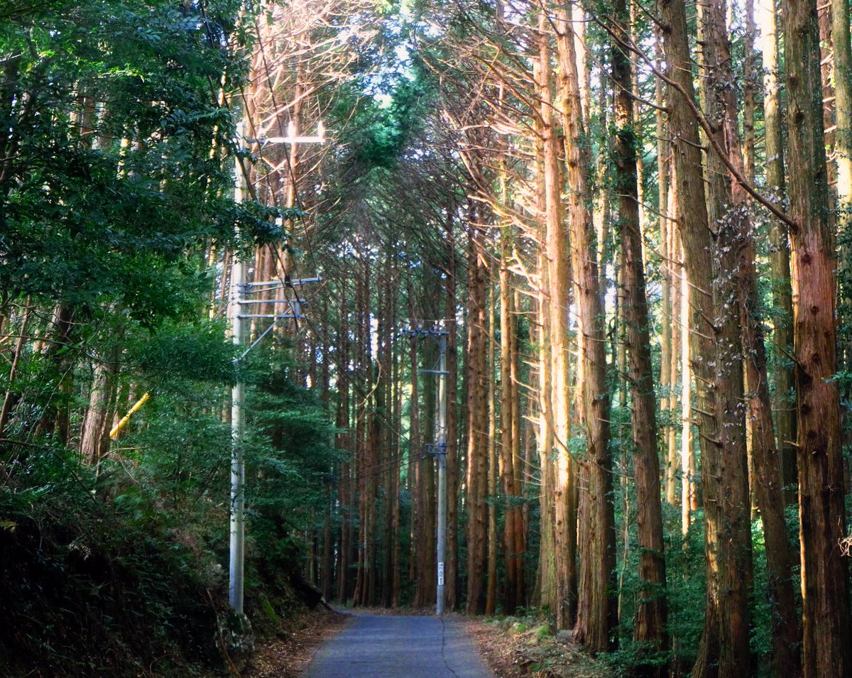 松村 井上 樋口 4種 関口 on X