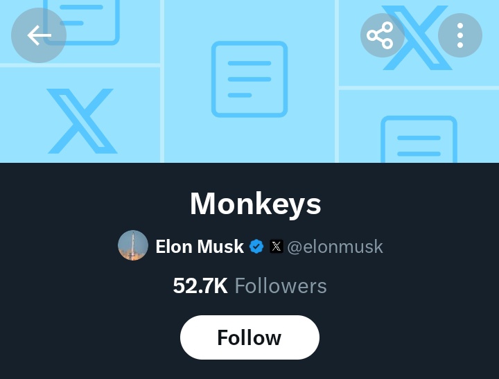 Elon Musk has a list called "Monkeys" on 𝕏 🐒😃